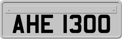 AHE1300