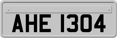 AHE1304