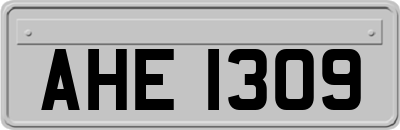AHE1309