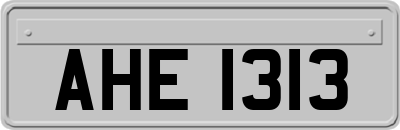 AHE1313