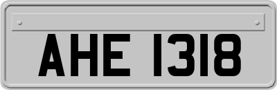 AHE1318