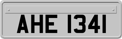 AHE1341