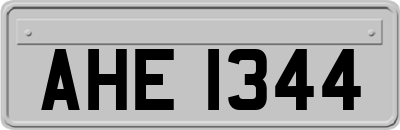 AHE1344