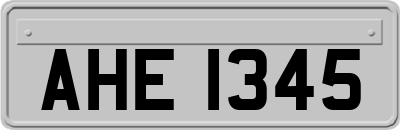 AHE1345