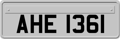 AHE1361