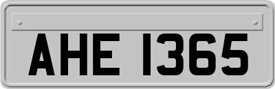 AHE1365