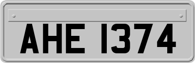 AHE1374
