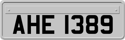AHE1389
