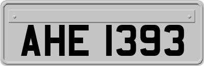 AHE1393