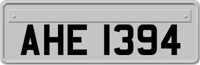 AHE1394