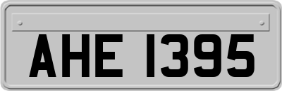 AHE1395