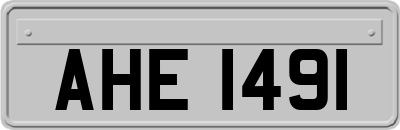 AHE1491