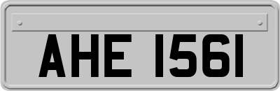 AHE1561