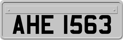 AHE1563