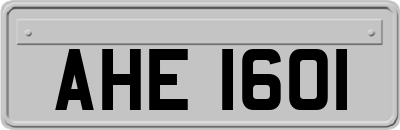 AHE1601
