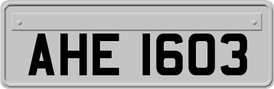 AHE1603