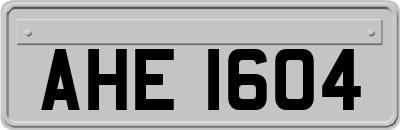 AHE1604