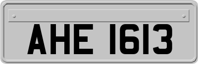 AHE1613