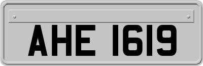 AHE1619