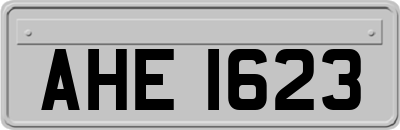 AHE1623