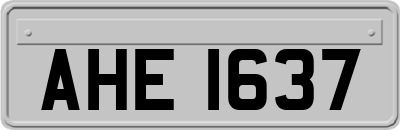 AHE1637