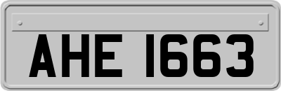 AHE1663