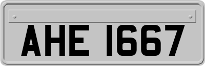 AHE1667