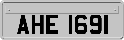 AHE1691