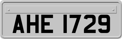 AHE1729