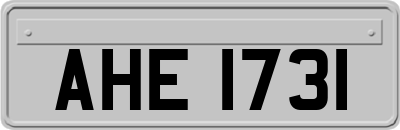 AHE1731