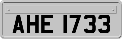 AHE1733