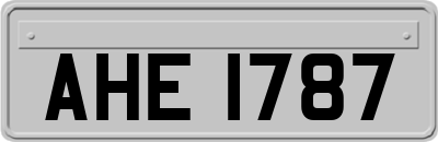 AHE1787