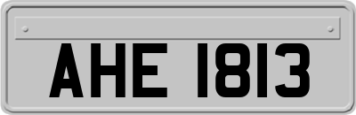 AHE1813