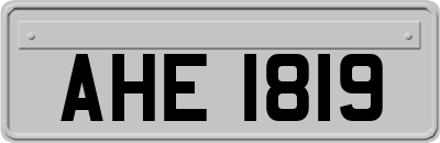 AHE1819