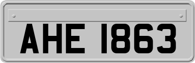 AHE1863