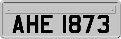 AHE1873