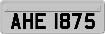 AHE1875