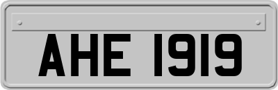 AHE1919