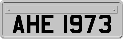 AHE1973