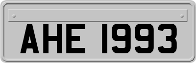 AHE1993