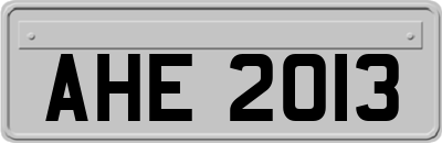 AHE2013