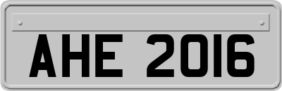 AHE2016