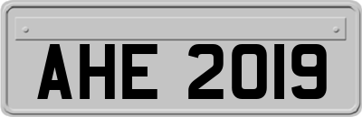 AHE2019