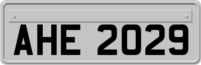 AHE2029