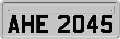 AHE2045