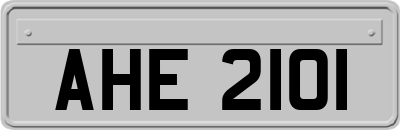 AHE2101