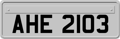 AHE2103