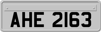 AHE2163