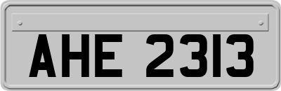 AHE2313
