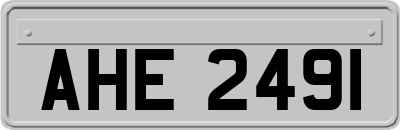 AHE2491
